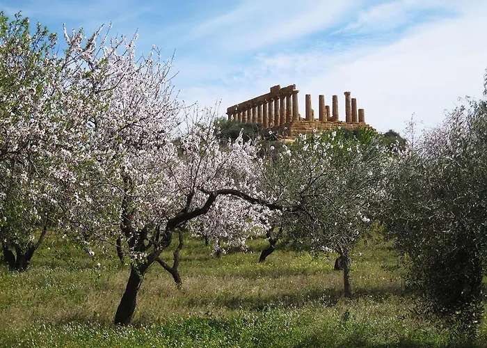 Anima Templi Agrigento