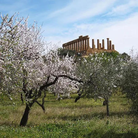 Anima Templi Agrigento